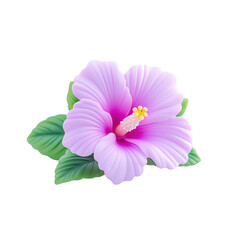 Vibrant Purple Hibiscus Flower with Delicate Petals and Green Leaves