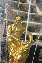 Samson fountain tearing the lion's mouth in Peterhof