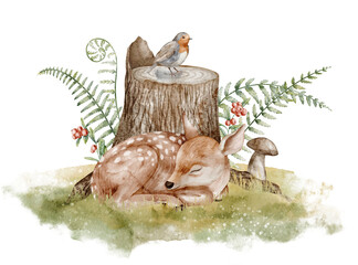Watercolor illustration of Fawn near stump with bird, berries and mushrooms. Drawing of woodland animals and autumn forest for childish greeting cards or invitations. Art of Deer for nursery posters.