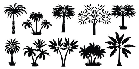 Fototapeta premium Tropical Silhouette Collection of Diverse Trees Representing Nature Vacation and Exotic Forest Elements for Decoration and Design