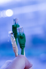 several rj 45 - wires for the Internet, on a blue background of a computer center