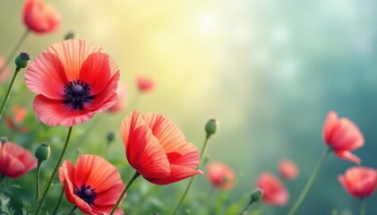 Vibrant watercolor poppies, blurred background , illustration, delicate, artistic