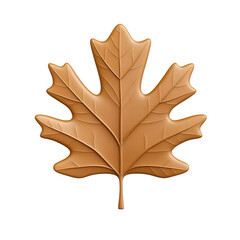 Fototapeta premium Beautiful Natural Maple Leaf in Vibrant Autumn Color Detail