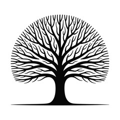 Naklejka premium Detailed bare tree branches forming a canopy silhouette against a white background