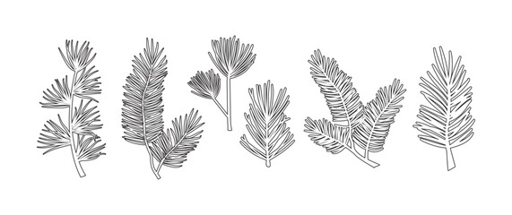 Fir and pine line icon, winter branch plant. Christmas tree and leaf outline design. Spruce needle and evergreen plant hand drawn, cedar twig, Xmas decoration isolated on bg. Vector illustration