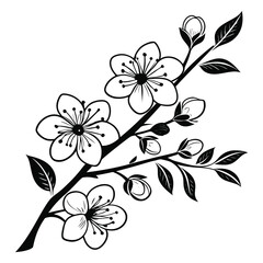 Blooming flower branch sketch black and white on white background