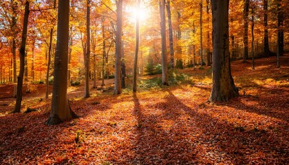 Obraz premium Autumn Forest Scene With Sunlight Filtering Through Trees Vibrant Orange Leaves Falling Creating A Magical Atmosphere In Nature S Beauty