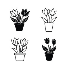 Tulips in pots in black and white vector format