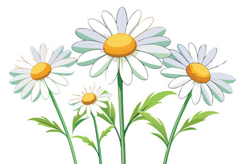 Charming Daisy Patch A Cheerful Gathering of Blossoms With Vibrant Greenery and Delicate White Petals in a Simple Cartoon Style