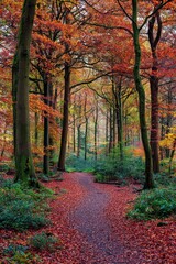 Obraz premium A woodland scene features a path covered in fallen red & orange leaves, flanked by tall trees with autumn foliage under a cloudy sky