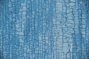 Naklejka premium Blue Haze Trend. Blue Haze Color. Blue Haze. Blue Haze Texture. Design Art. Wood Texture Tinted in Blue. Wood Texture