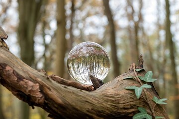 trees and woodland reflected upside down in a crystal  ball balanced on a tree trunk with a blurred bokeh background