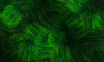 Green pine needles pattern on dark background. leaves texture.