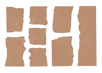 Brown torn paper on white background showing texture and shape