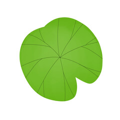 Lily pad icon Lily cartoon vector on white background	

