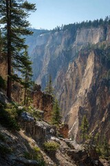 Rocky canyon vista with pine trees