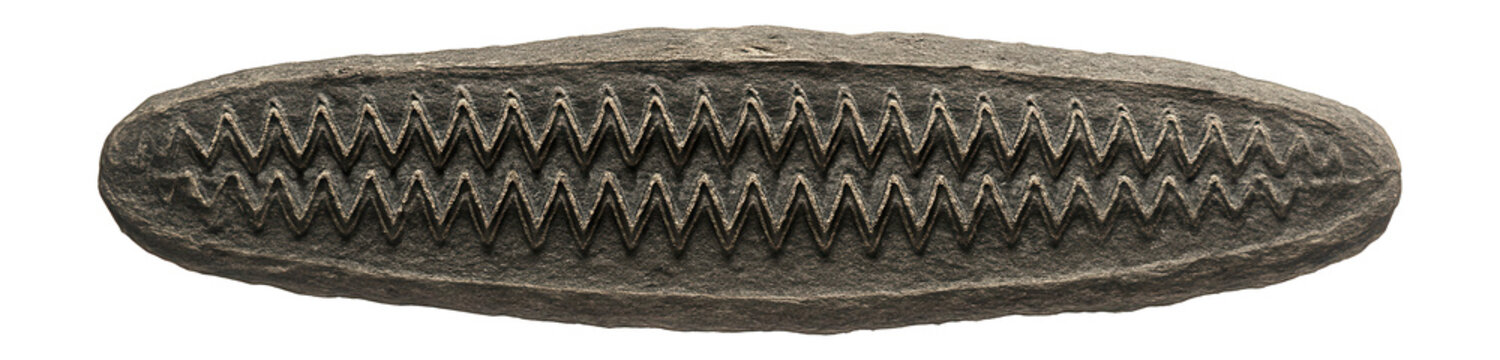 Single graptolite stipe displaying zigzag pattern and fine serrations along its length
