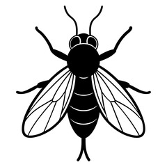 Stylized graphic illustration of a black fly silhouette with detailed wings and antennae