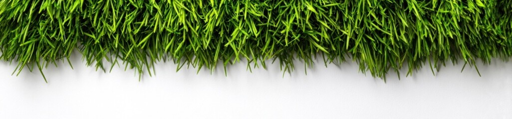 Vibrant green blades sprout, top frame, fading to pure white. Soft shadows define individual shoots, creating texture and organic beauty