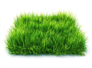 Lush, bright green grass patch casting a soft shadow. Grass blades of varying heights create a dense, vibrant texture against a clean white backdrop