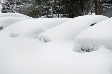 Parking lot with cars covered with fresh snow after snowfall