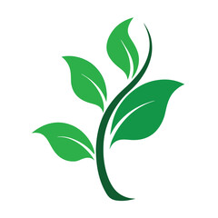 Lush Green Plant with Vibrant Leaves Symbolizing Growth and Natural Beauty