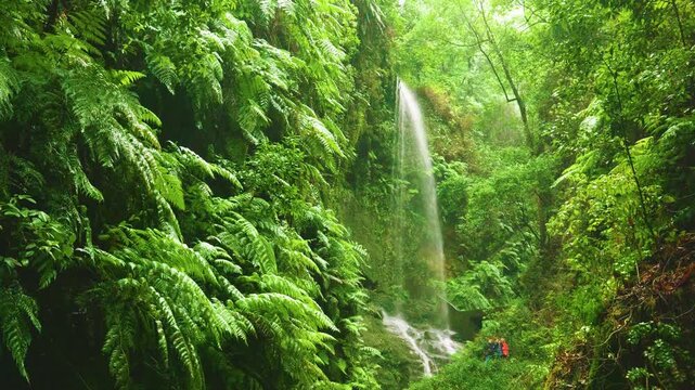 Cascada de los Tilos Waterfall, La Palma, Canary Islands, Spain