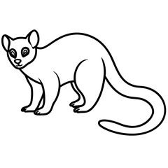 Simple outline drawing of a lemur standing on four paws silhouette