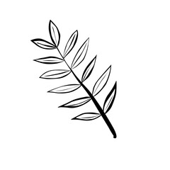Simple Outline Isolated Branch Leaves Drawing Decorative Plant Illustration