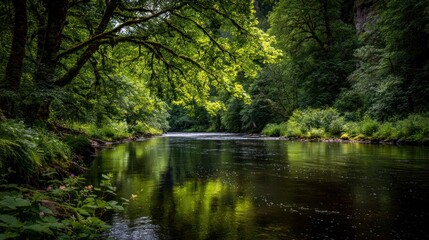 A calm river flows, reflecting the bright foliage of overhanging trees, within a lush, vibrant forest on a hazy day