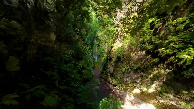 Cascada de los Tilos Waterfall, La Palma, Canary Islands, Spain
