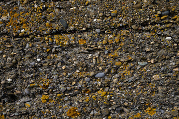 Urban texture patterns