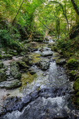 Over millions of years, the Orfento River (in the municipality of Caramanico Terme) has carved out a narrow gorge now covered by dense riparian vegetation featuring willows, ferns, and mosses.