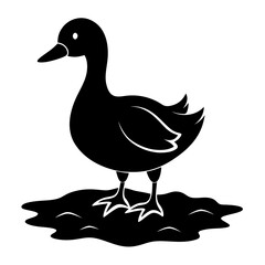 A black duck standing in water silhouette