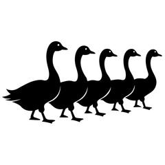 Five black geese standing in a row silhouette