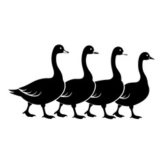 Four black geese walking in a row silhouette