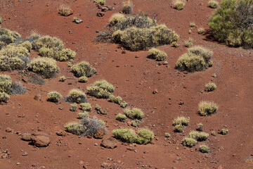 Volcanic landscape in the Teide National Park, Tenerife island, Spain