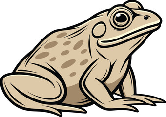 Amphibians Design and Illustration. Cartoon Amphibians Illustration. Cute Amphibians Clipart Design. Realistic Amphibians Illustration. Amphibians Wildlife Drawing. Colorful Amphibians Illustration