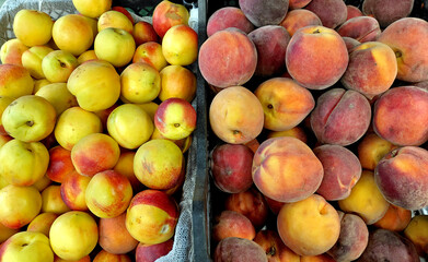 Crate of fresh ripe peaches - A close-up shot of a wooden crate filled to the brim with fresh, ripe, and juicy peaches