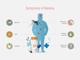 Malaria Symptoms with Medical Illustrations