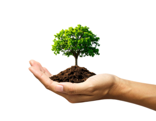 Hyper-realistic PNG of a giant human hand rising from cracked soil with a lush green