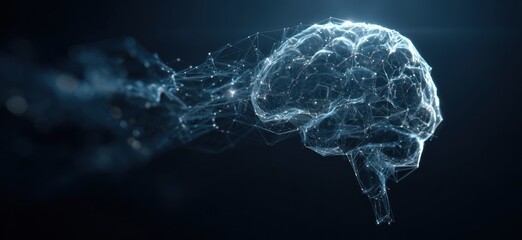 A detailed illustration of a human brain, depicted as a complex network of lines and points, against a dark background.