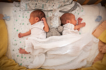 Two identical newborn twins sleep soundly in their crib. They are sharing a stuffed animal and covered with a white blanket. A pacifier rests nearby.