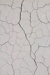 Close up view of dry cracked earth showing a pattern of fissures and arid ground texture surface