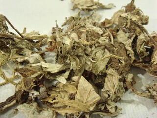 Artemisia argyi, mugwort leaf herbal medicine with warming, hemostatic, and uterine supporting healing effects