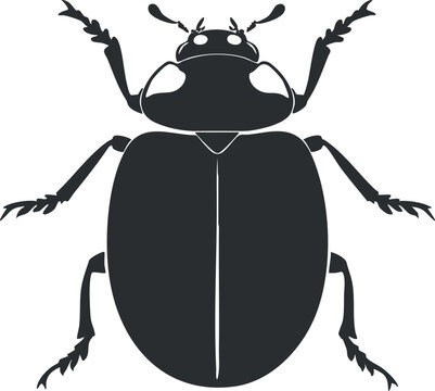 A detailed silhouette illustration of a beetle showcasing its anatomy and features.