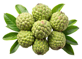 Fototapeta premium A cluster of ripe green custard apples surrounded by fresh leaves isolated on transparent background