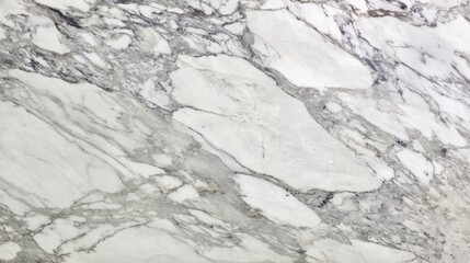 A beautiful white marble surface displaying unique gray veining is showcased. This natural stone is often used in upscale interiors, adding elegance to homes and buildings.