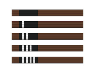 Brown Brazilian Jiu-jitsu vector martial arts belt