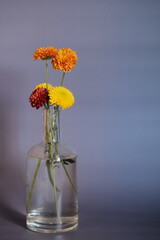 Arranjo de flores conceituais